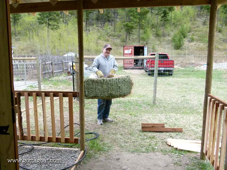 Bringing in the Hay