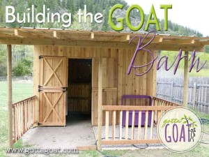 Building the Goat Barn