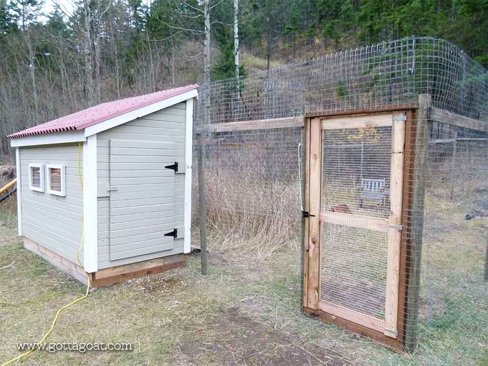Chicken coop and fenced yard