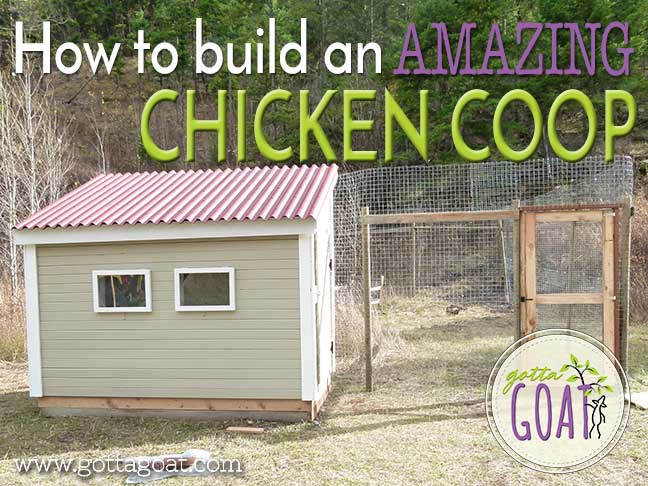 How to Build an Amazing Chicken Coop