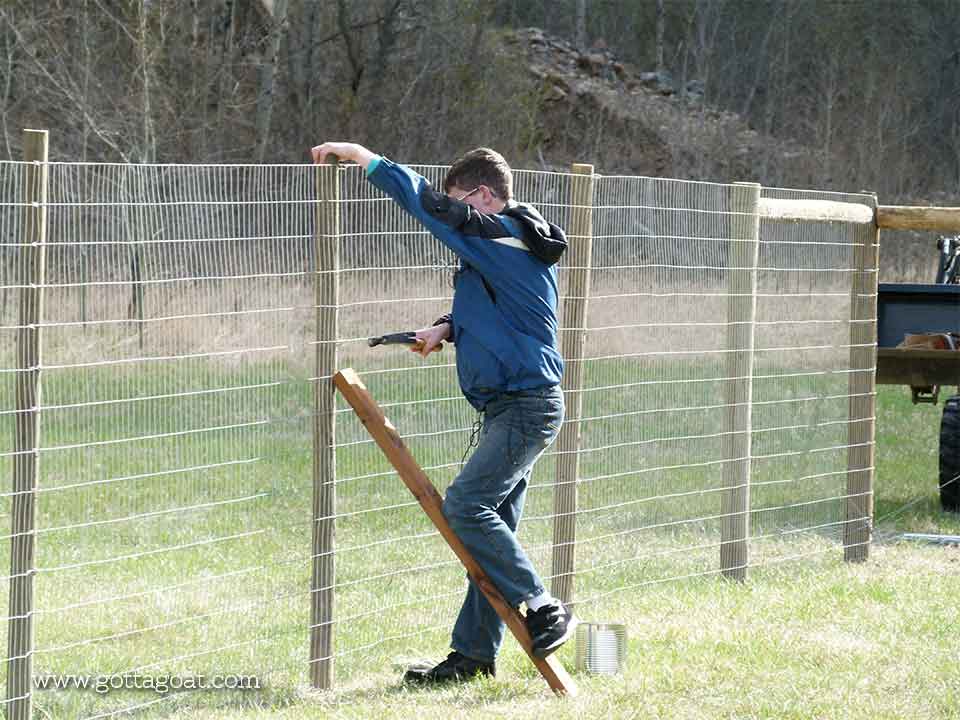 Installing the Fence Wire