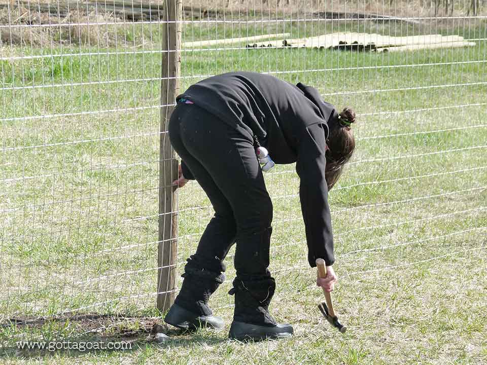 Installing the Fence Wire