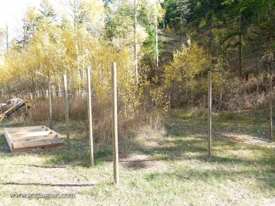Fence posts installed for the chicken yard