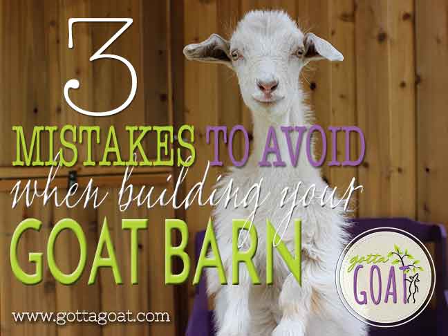 3 Mistakes to Avoid When Building Your Goat Barn