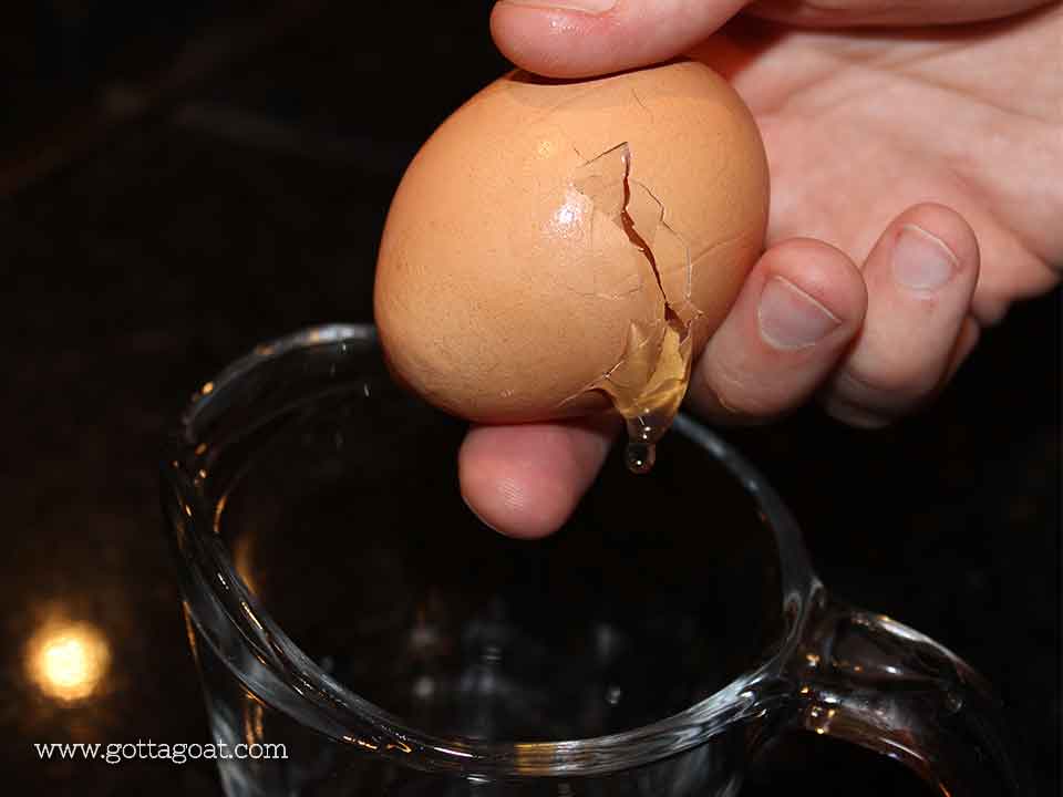 Cracking BIG Egg Number 2