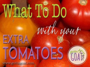 What to do with your extra tomatoes
