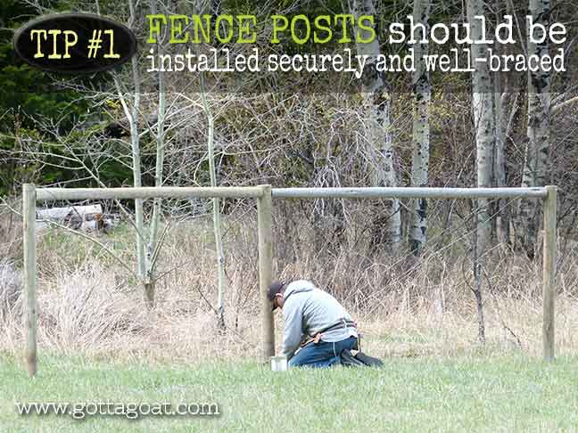 Install Fence Posts