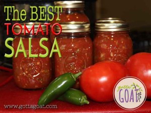The BEST Tomato Salsa