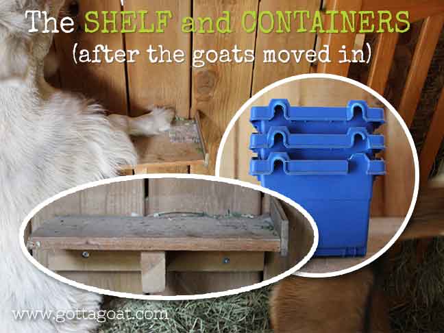 The Shelf and Plastic Containers After the Goats Moved In