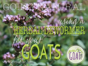 Using a Herbal Dewormer for Your Goats