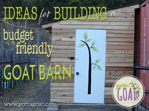 Ideas for building a budget friendly goat barn