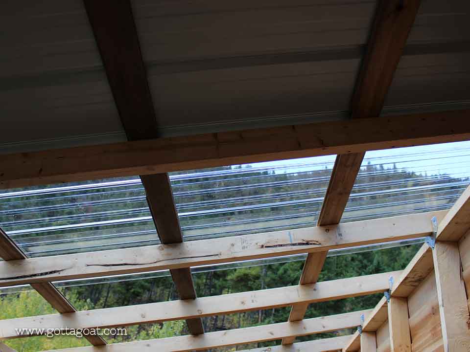 The polycarbonate roofing panel on the barn