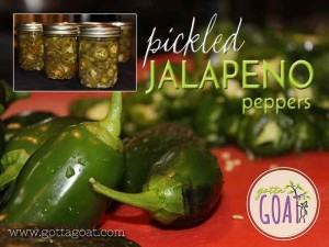 Pickled Jalapeño Peppers Recipe