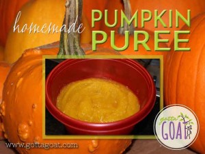Pumpkin Puree Recipe