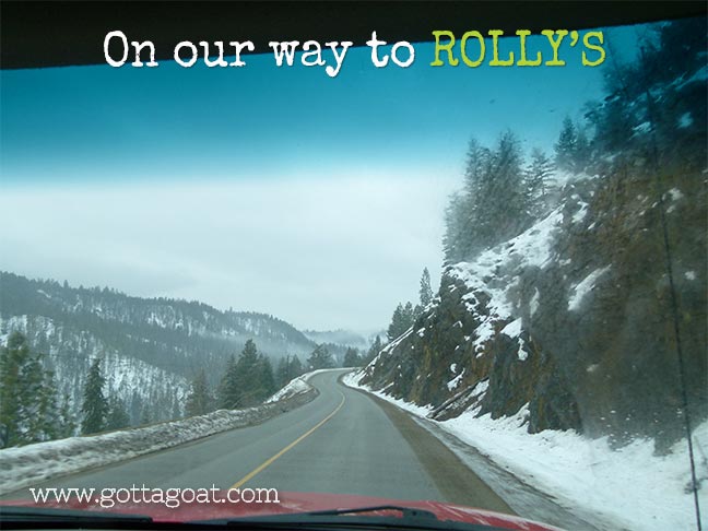 Driving to Rolly's