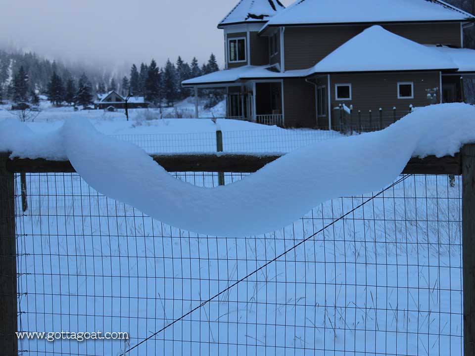 Snow hanging from the fence