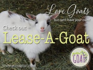 Lease-a-Goat