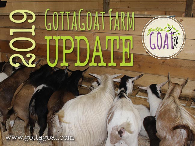 2019 GottaGoat Farm Update