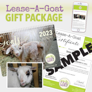 Lease-A-Goat Gift Package