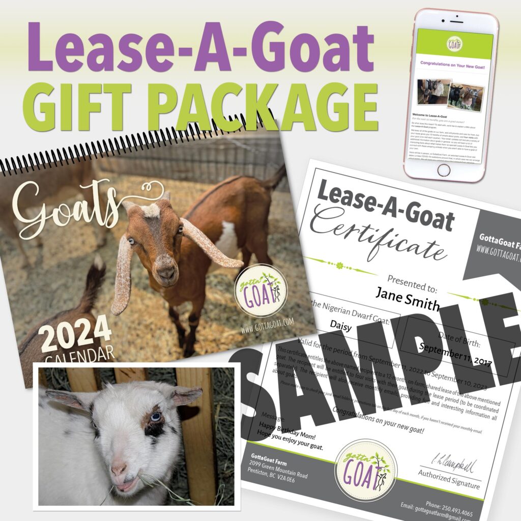 Lease-A-Goat Gift Package
